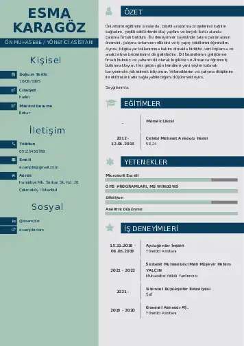 Yönetici Asistanı Cv Örnekleri cv indir